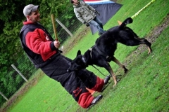 Syracuse Working Dog Club Training (2012)